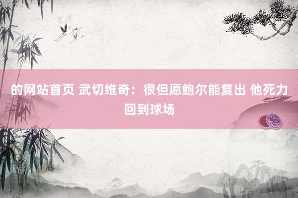 的网站首页 武切维奇:很但愿鲍尔能复出 他死力回到球场
