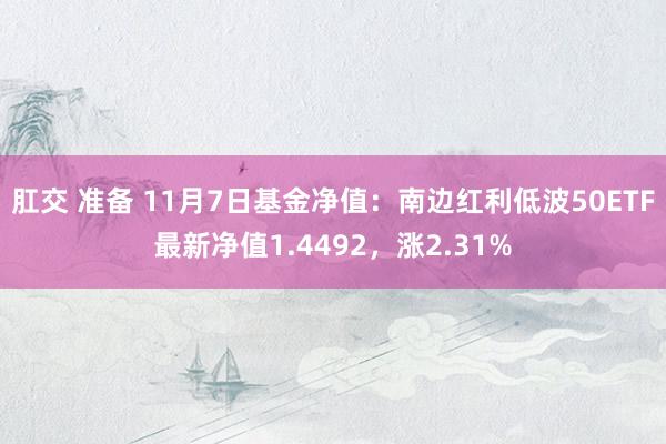 肛交 准备 11月7日基金净值：南边红利低波50ETF最新净值1.4492，涨2.31%