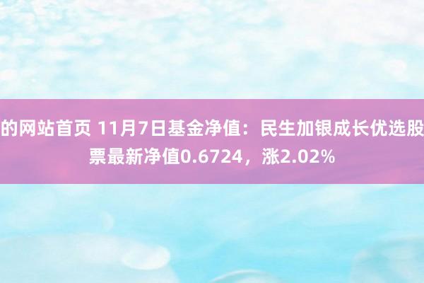 的网站首页 11月7日基金净值：民生加银成长优选股票最新净值0.6724，涨2.02%
