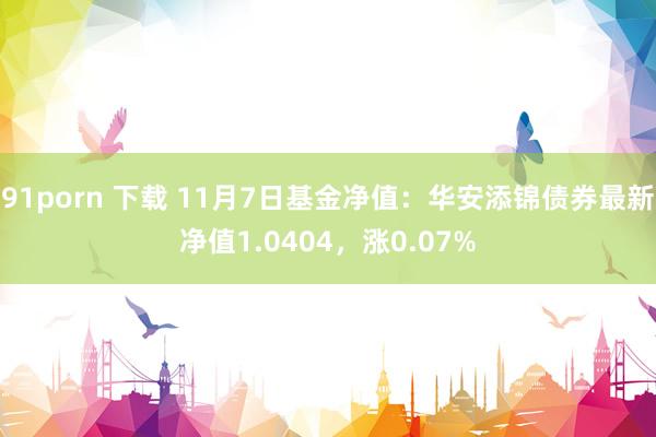 91porn 下载 11月7日基金净值：华安添锦债券最新净值1.0404，涨0.07%
