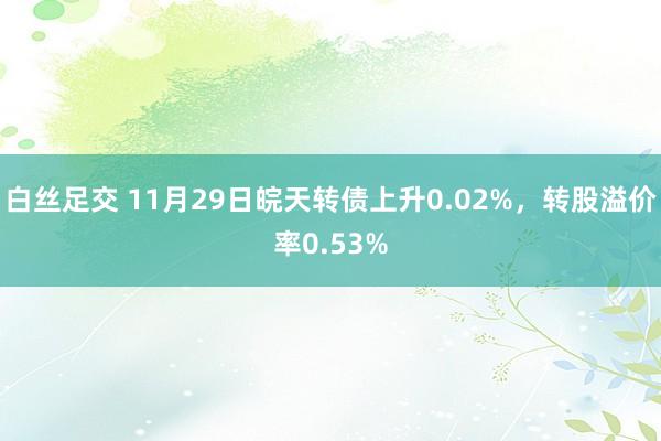 白丝足交 11月29日皖天转债上升0.02%，转股溢价率0.53%