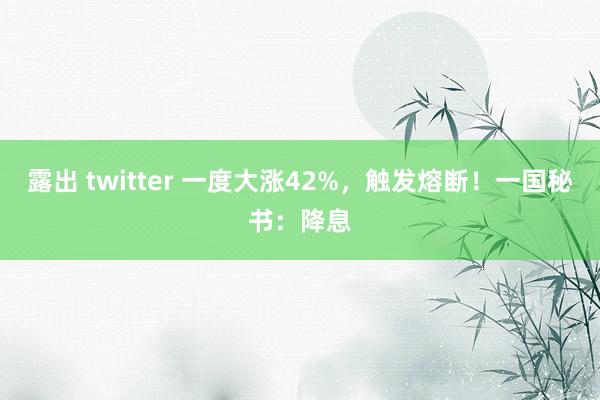 露出 twitter 一度大涨42%，触发熔断！一国秘书：降息