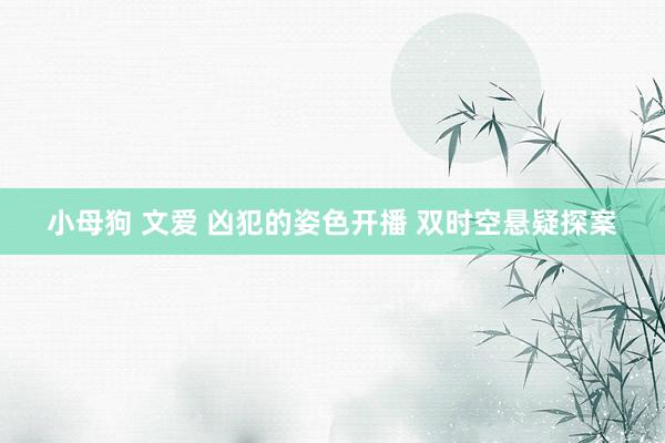 小母狗 文爱 凶犯的姿色开播 双时空悬疑探案