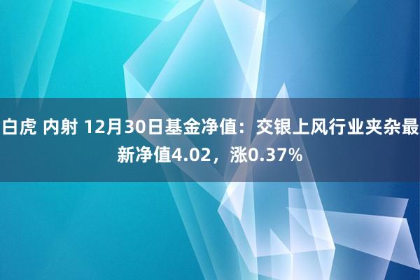 白虎 内射 12月30日基金净值：交银上风行业夹杂最新净值4.02，涨0.37%