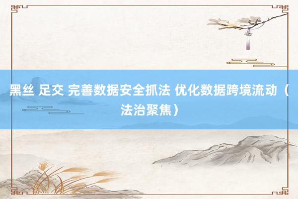黑丝 足交 完善数据安全抓法 优化数据跨境流动（法治聚焦）