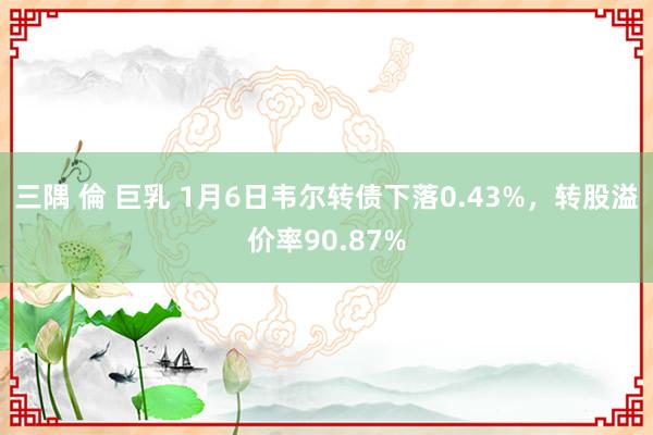 三隅 倫 巨乳 1月6日韦尔转债下落0.43%，转股溢价率90.87%