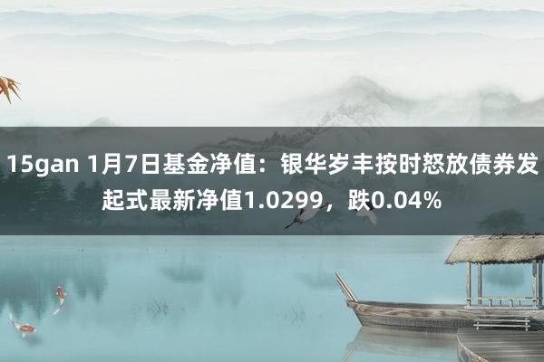 15gan 1月7日基金净值：银华岁丰按时怒放债券发起式最新净值1.0299，跌0.04%