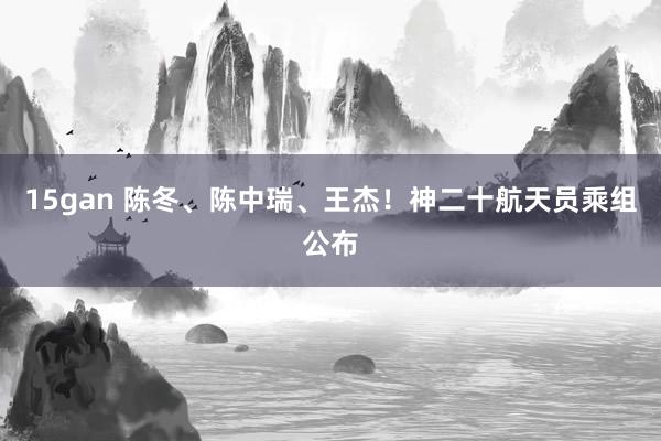 15gan 陈冬、陈中瑞、王杰！神二十航天员乘组公布