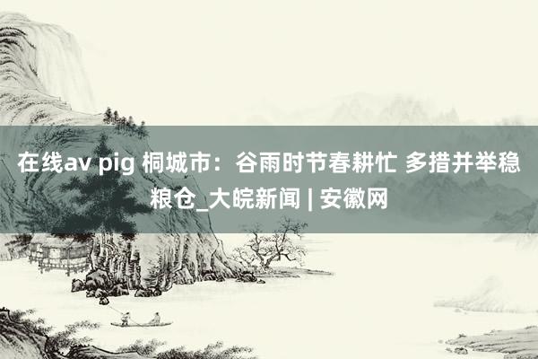在线av pig 桐城市：谷雨时节春耕忙 多措并举稳粮仓_大皖新闻 | 安徽网