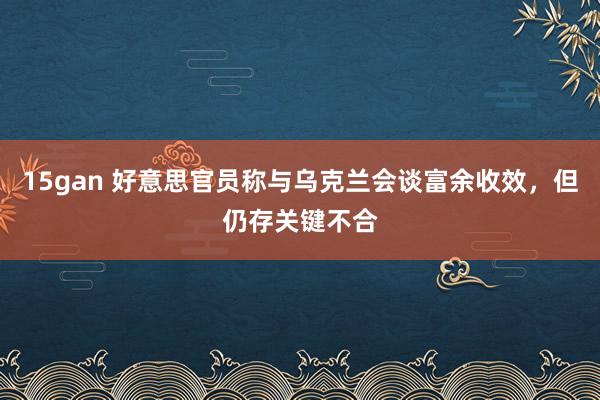 15gan 好意思官员称与乌克兰会谈富余收效，但仍存关键不合